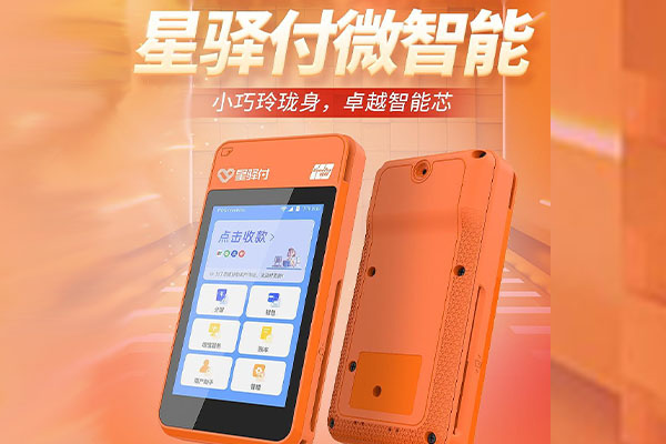 定远国通微电签POS机